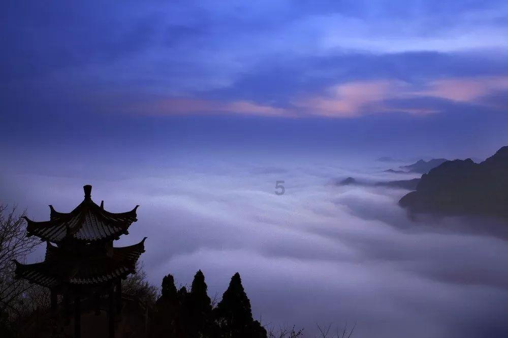 走!一起做 小小“图书管理员”