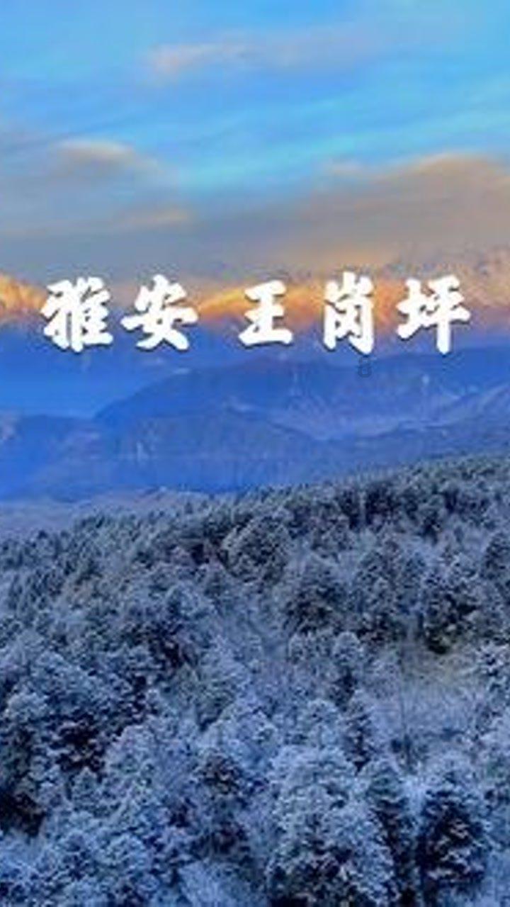 吓人的屋子找物品
