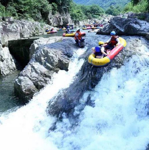 尽在“糖友”真的就不能喝粥吗?这是为什么?,解答疑问交流平台