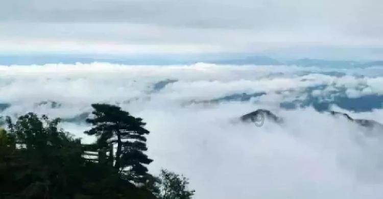 古龙群侠传