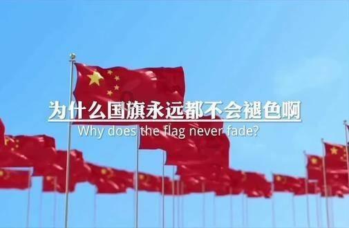 蛇蛇争霸