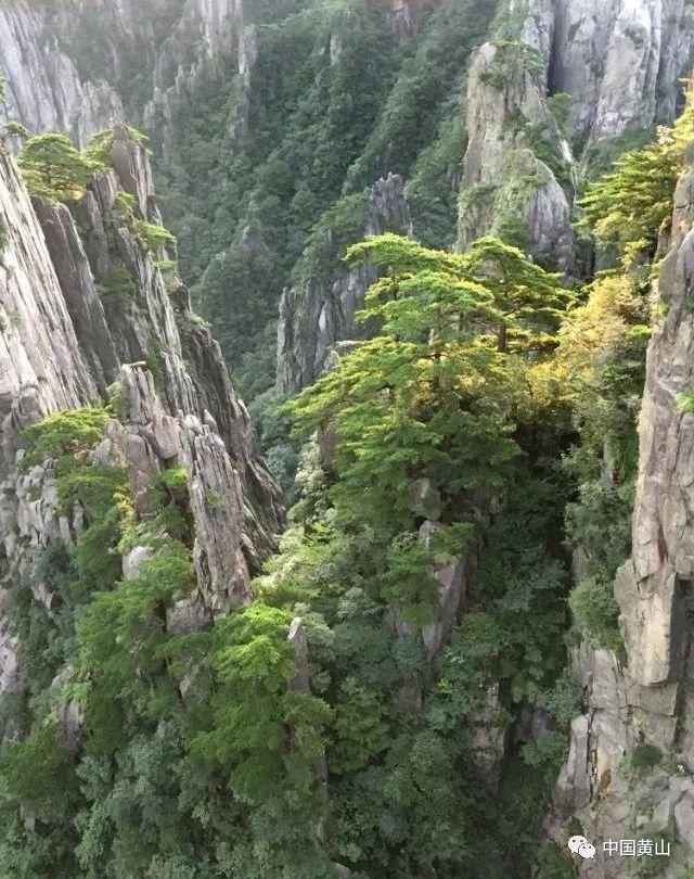 空军飞行员的前途…游戏画面
