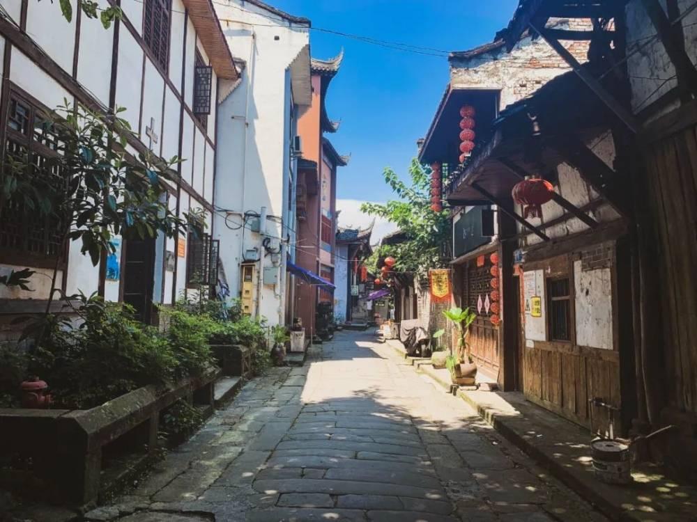 细胞分裂6